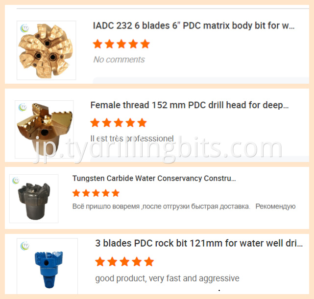 Pdc BitS